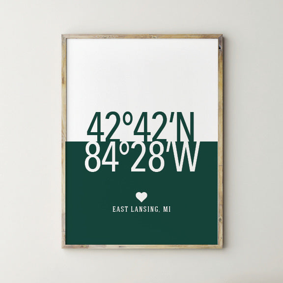 Michigan State Spartans Wall Decor